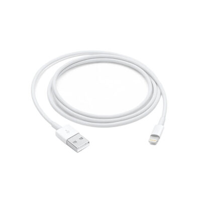 Apple Lightning to USB Cable 1m